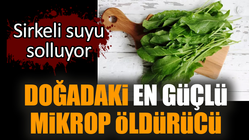 Doğadaki en güçlü mikrop öldürücü! Sirkeli suyu solluyor