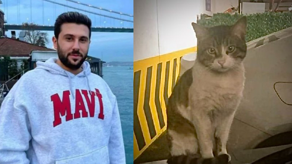 Kediyi tekmeleyerek öldüren sanık yeniden yargılanacak
