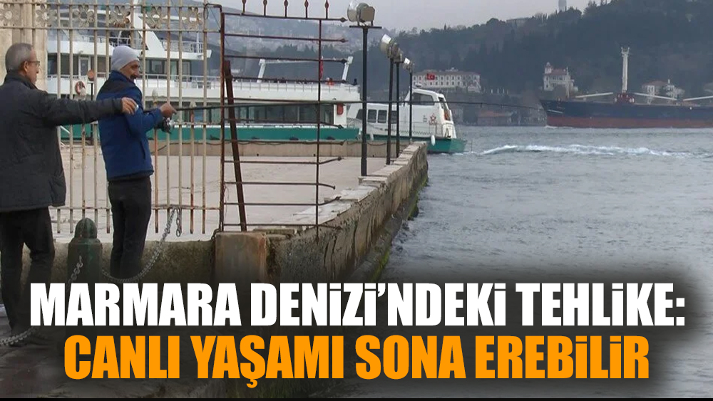 Marmara Denizi’ndeki tehlike: Canlı yaşamı sona erebilir