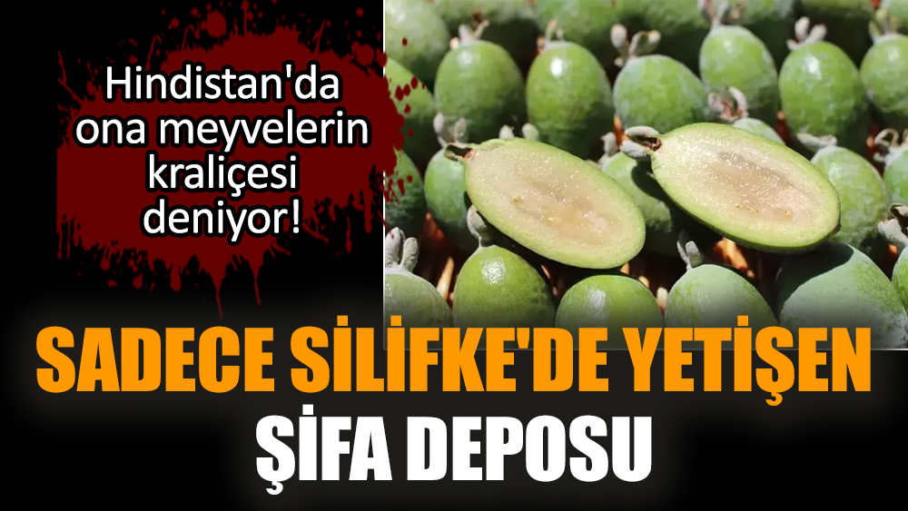 Sadece Silifke'de yetişen şifa deposu
