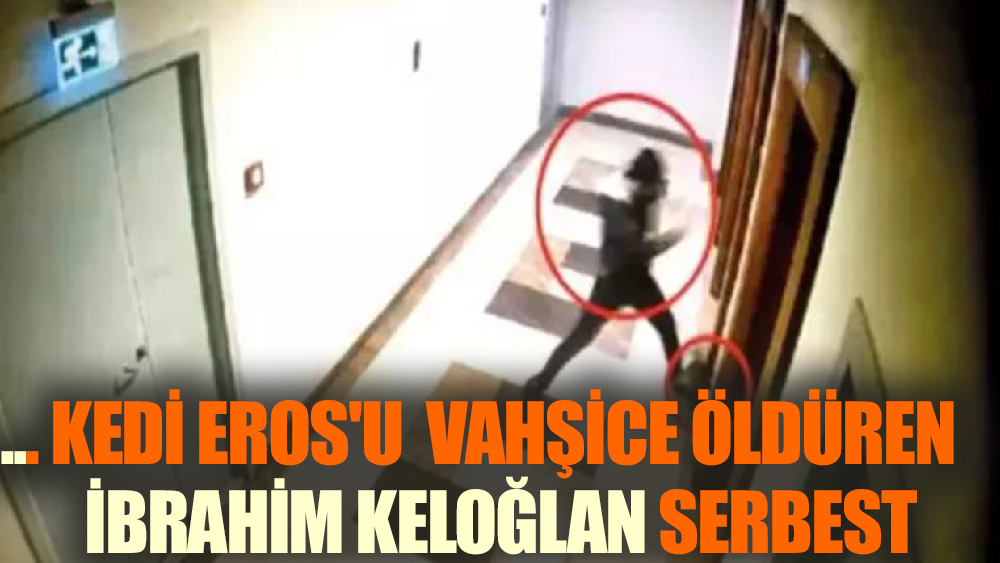 Kedi Eros'u öldüren Keloğlan serbest