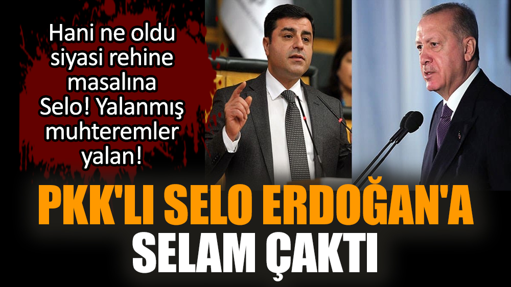 PKK'lı Selo Erdoğan'a selam çaktı