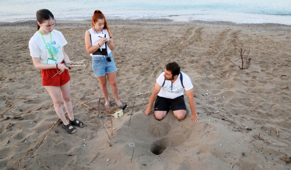 Caretta Carettalar için gönüllü aranıyor
