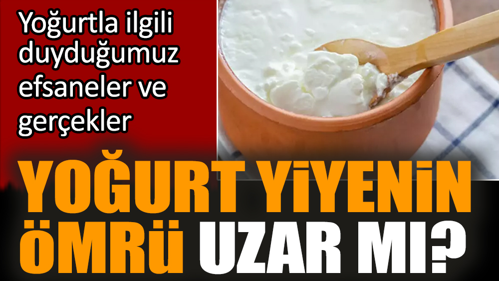 Yoğurt yiyenin ömrü uzar mı? Yoğurtla ilgili efsaneler ve gerçekler