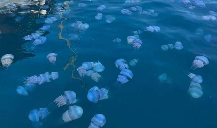 Marmara’dan sonra Akdeniz’i de vurdu