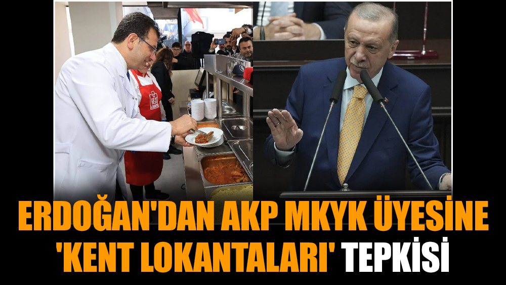Erdoğan'dan AKP MKYK üyesine 'Kent Lokantaları' tepkisi