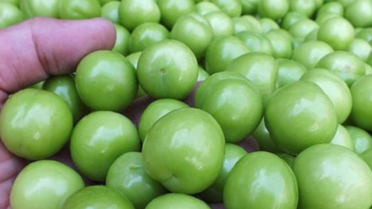 Erik Kilosu Tezgahlarda 500 TL'ye Satışta