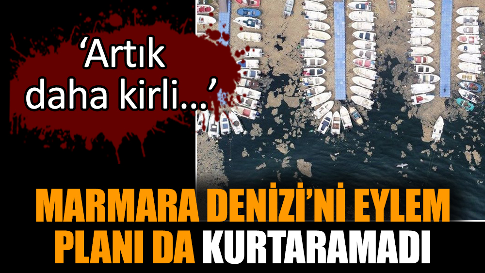 Marmara Denizi’ni eylem planı da kurtaramadı