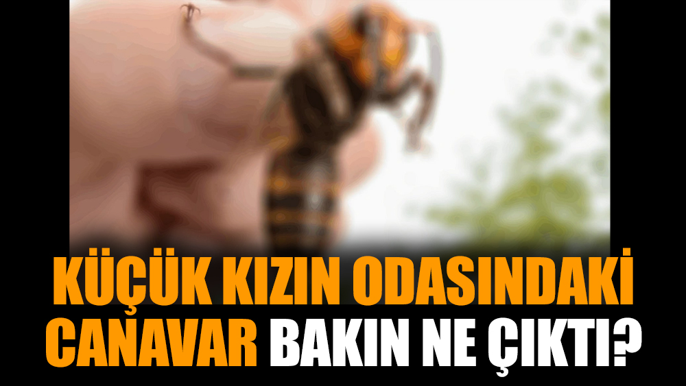Küçük kızın odasındaki canavar bakın ne çıktı?