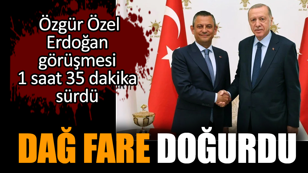 Özgür Özel-Erdoğan görüşmesi adeta 'Dağ fare doğurdu' dedirtti