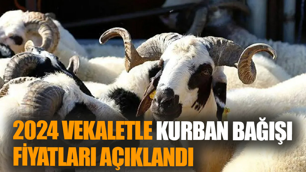 Vekaletle kurban bağışı  fiyatları açıklandı