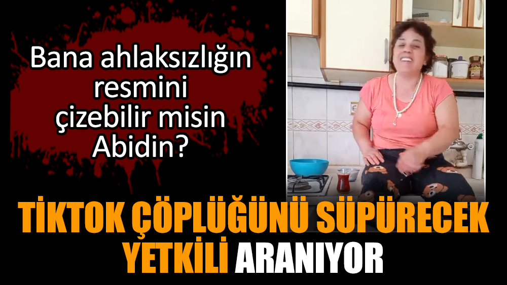 TikTok çöplüğünü süpürecek yetkili aranıyor