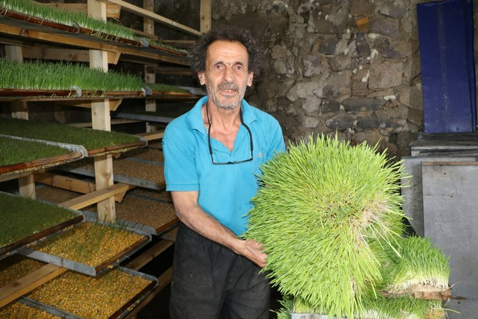 Hayvan Bakımında Devrim! Ucuz ve Kolay