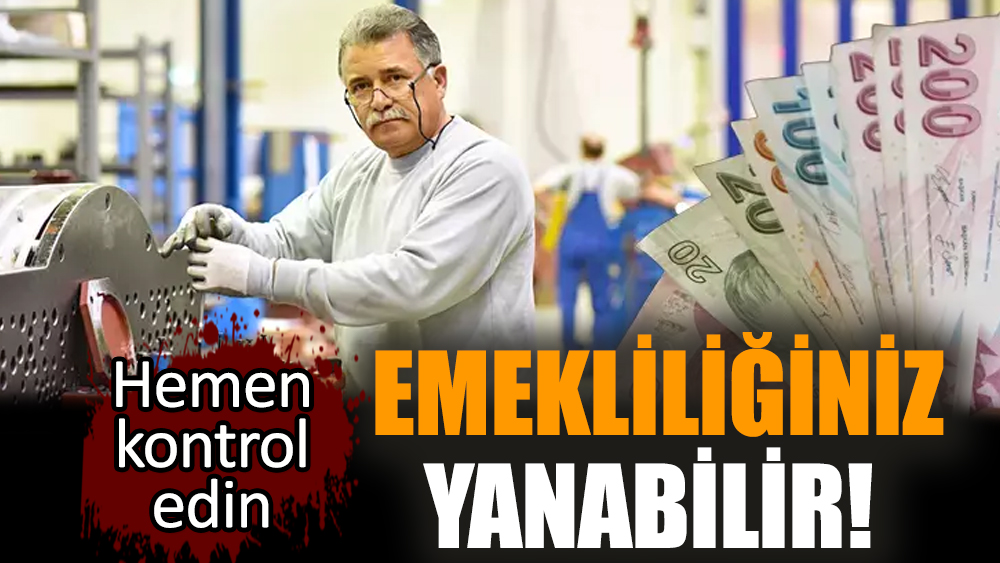 Emekliliğiniz yanabilir! Hemen kontrol edin