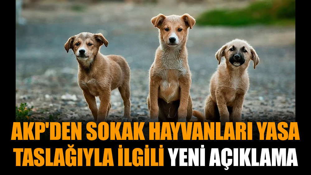 AKP'den sokak hayvanları yasa taslağıyla ilgili yeni açıklama