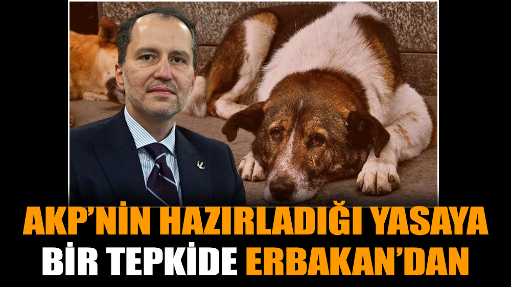 AKP’nin hazırladığı yasaya bir tepkide Erbakan’dan