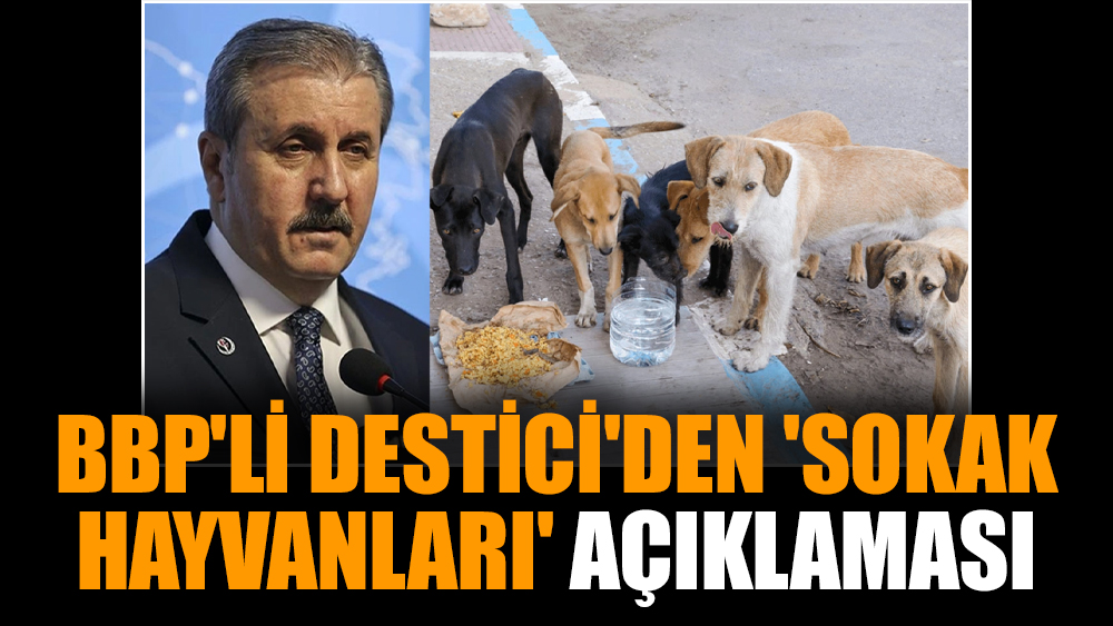 BBP'li Destici'den 'sokak hayvanları' açıklaması