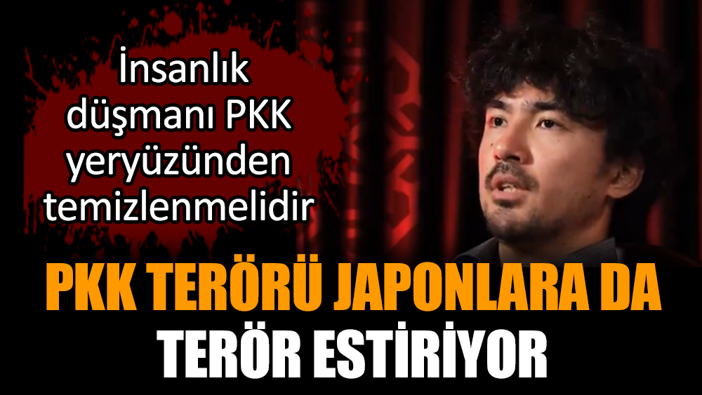 PKK terörü Japonlara da terör estiriyor