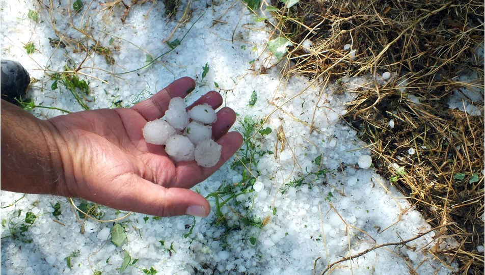 Yozgat'ta Ceviz Büyüklüğünde Dolu Yağdı