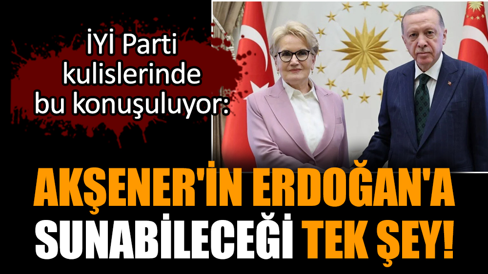 Akşener'in Erdoğan'a sunabileceği tek şey!