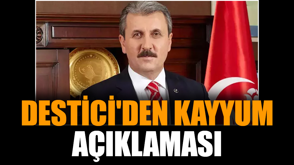 Destici'den kayyum açıklaması
