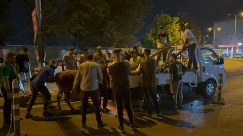 Satış yerinden kaçan kurbanlık boğa ortalığı birbirine kattı
