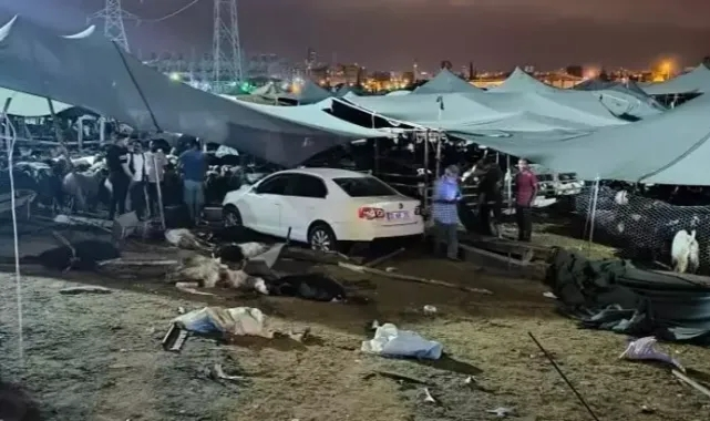 Hayvan Pazarında Facia: Kurbanlardan 8 Yaralı ve 7 Ölü