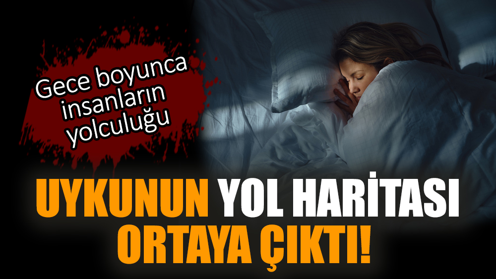 Uykunun yol haritası ortaya çıktı! Gece boyunca insanların yolculuğu