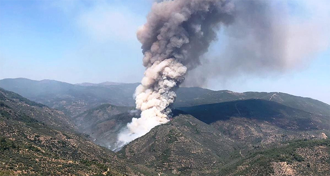 Urla'da Çıkan Yangınla Mücadele