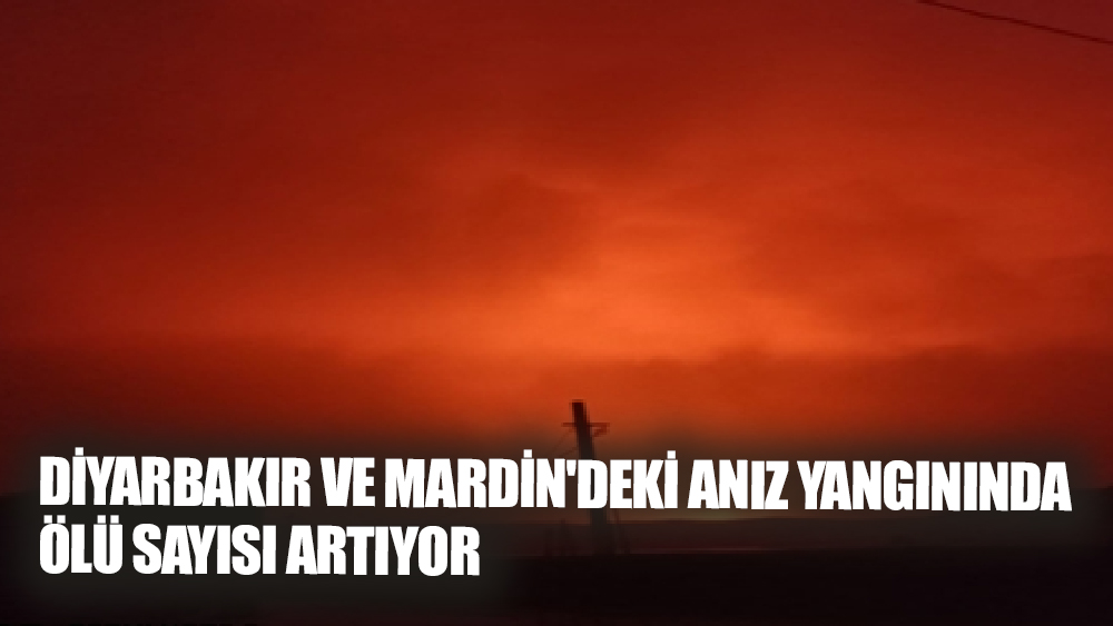 Diyarbakır ve Mardin'deki Anız Yangınında 4 Ölü, 19 Yaralı