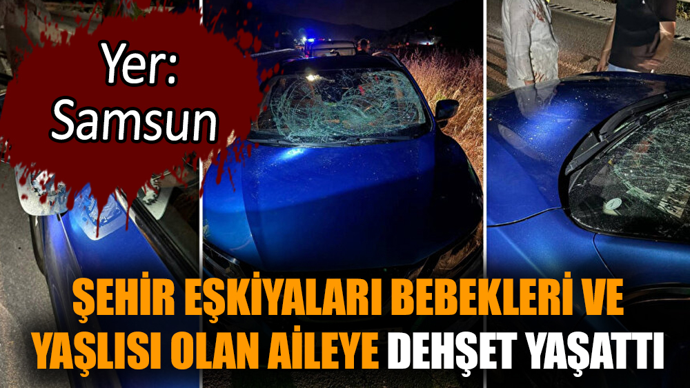 Şehir eşkıyaları bebekleri ve yaşlısı olan aileye dehşet yaşattı