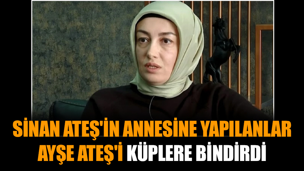 Sinan Ateş'in annesine yapılanlar Ayşe Ateş'i küplere bindirdi
