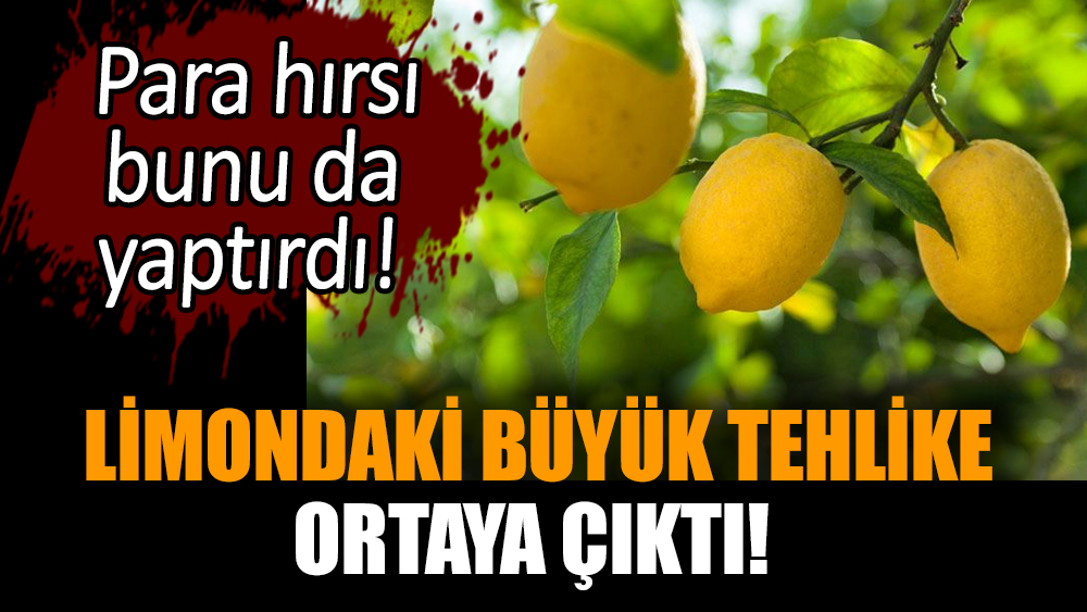 Limondaki büyük tehlike ortaya çıktı