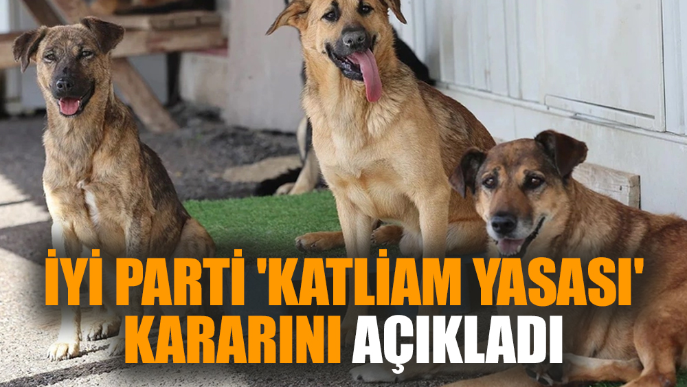 İYİ Parti 'katliam yasası' kararını açıkladı