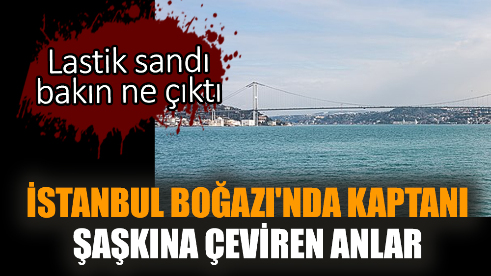 İstanbul Boğazı'nda kaptanı şaşkına çeviren anlar