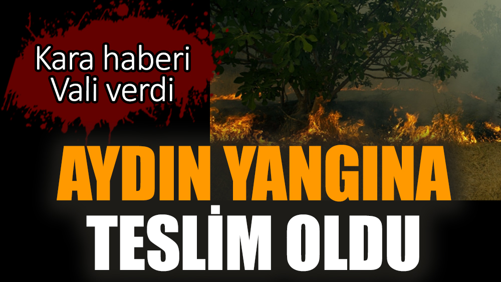 Aydın yangına teslim oldu! Kara haberi Vali verdi