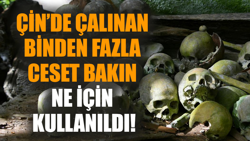 Çin’de çalınan binden fazla ceset bakın ne için kullanıldı!