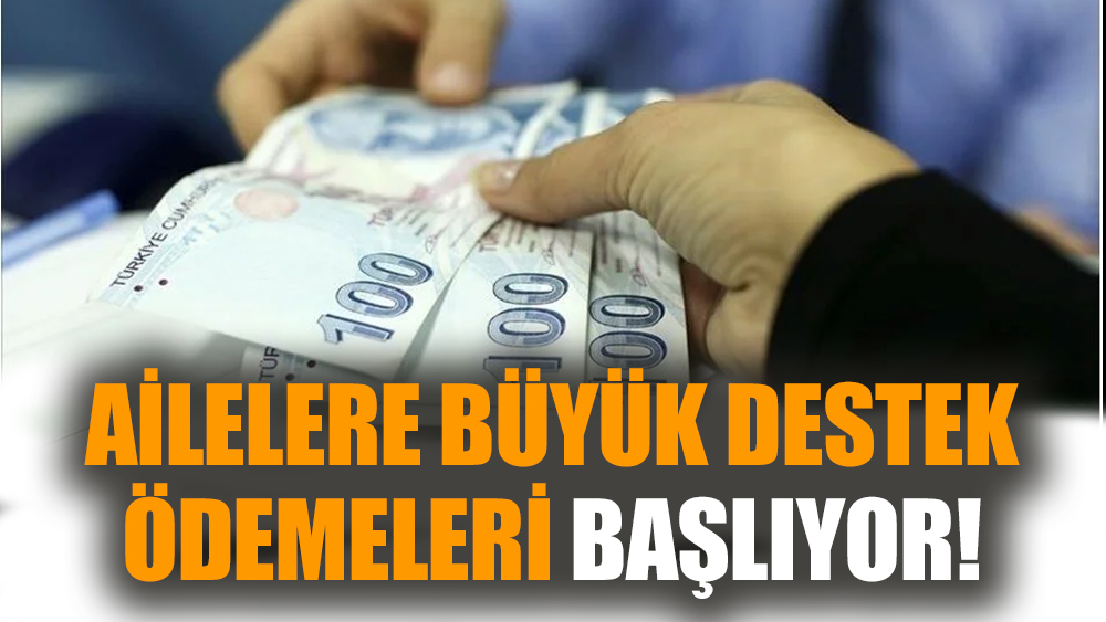 Ailelere büyük destek ödemeleri başlıyor!