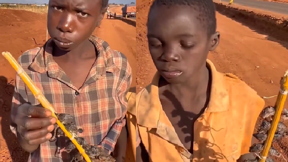 Afrika'daki Fare Yeme Alışkanlıkları Dünya Sağlığını Tehdit Ediyor
