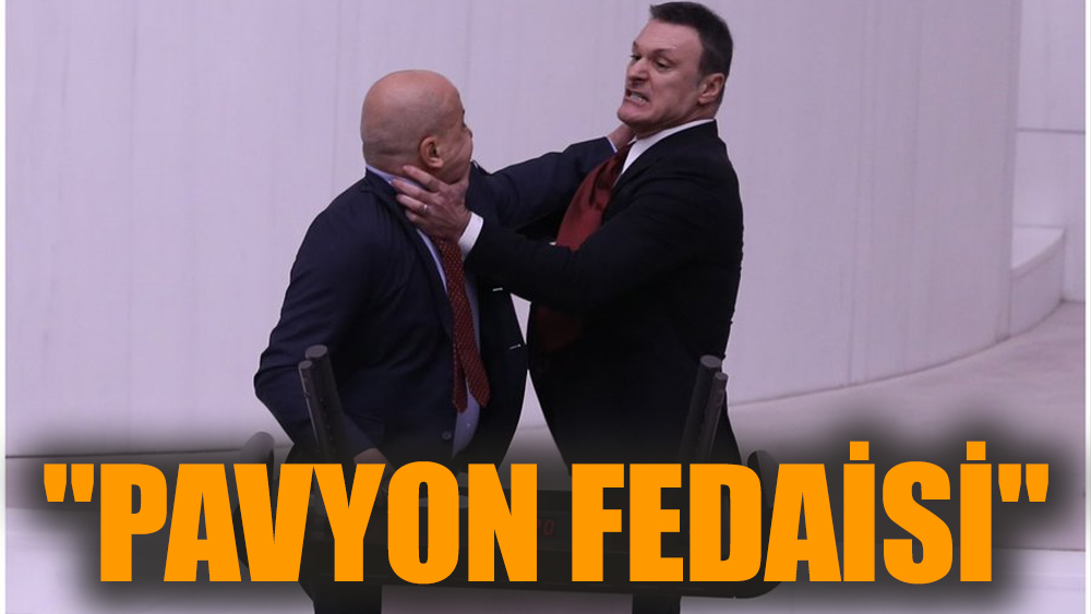 "Pavyon fedaisi"