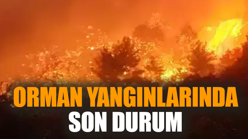 Orman yangınlarında son durum