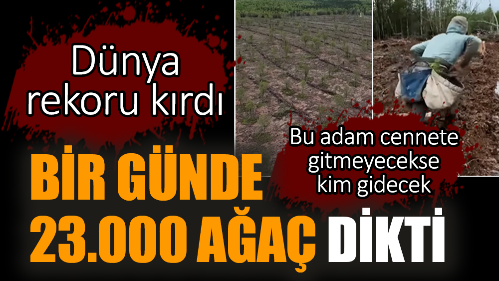 Bir günde 23.000 ağaç dikti. Dünya rekoru kırdı
