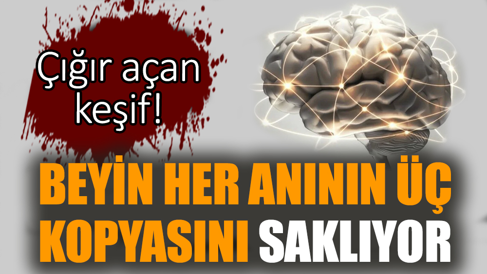 Çığır açan keşif! Beyin her anının üç kopyasını saklıyor