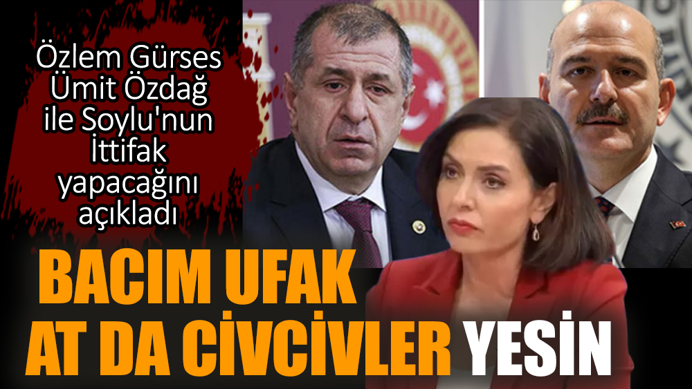 Özlem Gürses Ümit Özdağ ile Soylu'nun İttifak yapacağını açıkladı