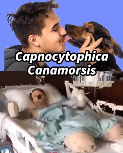Köpeğine uzuvlarını yalatan adamın feci sonu
