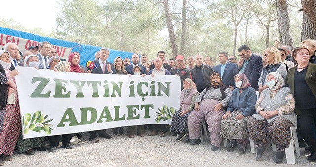 İYİ Parti'nin mücadelesi sonuç verdi: Zeytinler kazandı