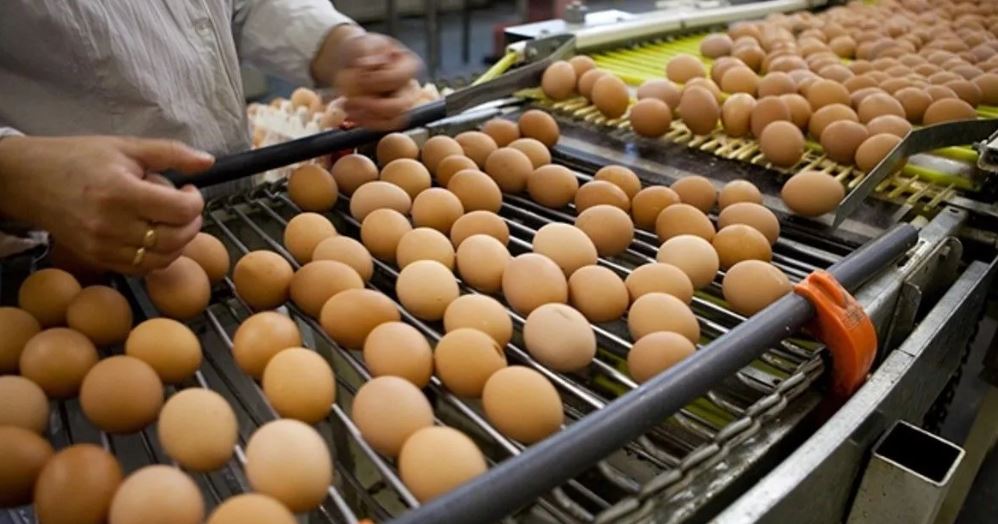 Yumurta kolesterol yapar mı?  Doktorlar açıkladı