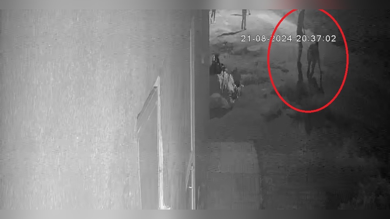 Diyarbakır'da Kaybolan Narin Güran Cinayeti: Görüntüler İlginç Detayları Ortaya Çıkardı