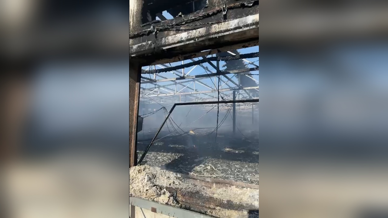 Tarsus'ta tavuk çiftliğinde büyük yangın: 33 bin civciv hayatını kaybetti