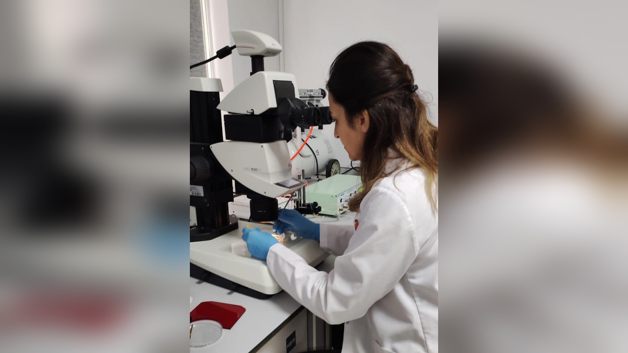 Yerli Mutant Karadeniz Alabalığı Gıda Güvenliğini Artırmayı Hedefliyor